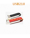 USB210