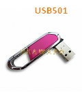USB501