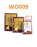 Wooden_Award